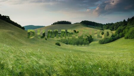 Tiefschneekurs für Fortgeschrittene - Freeride-Technik verbessern